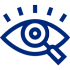vision